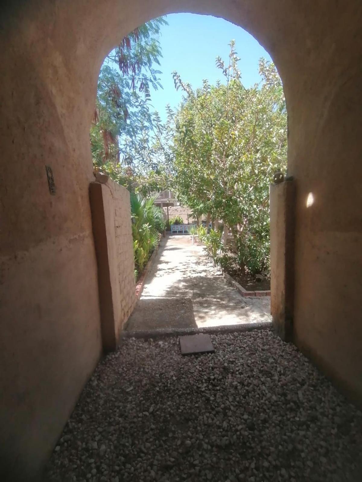 Rose Guest House Luxor Exterior photo