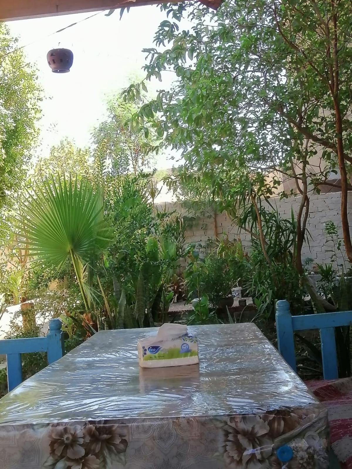 Rose Guest House Luxor Exterior photo