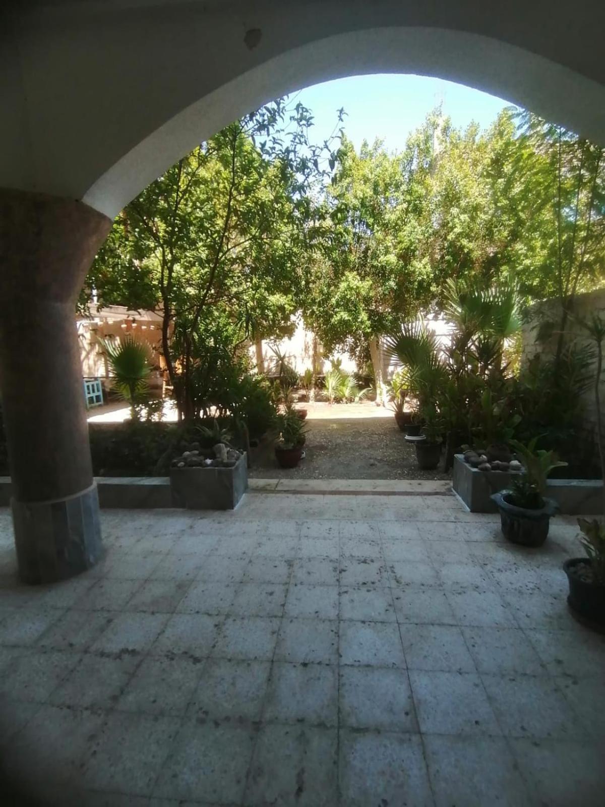 Rose Guest House Luxor Exterior photo