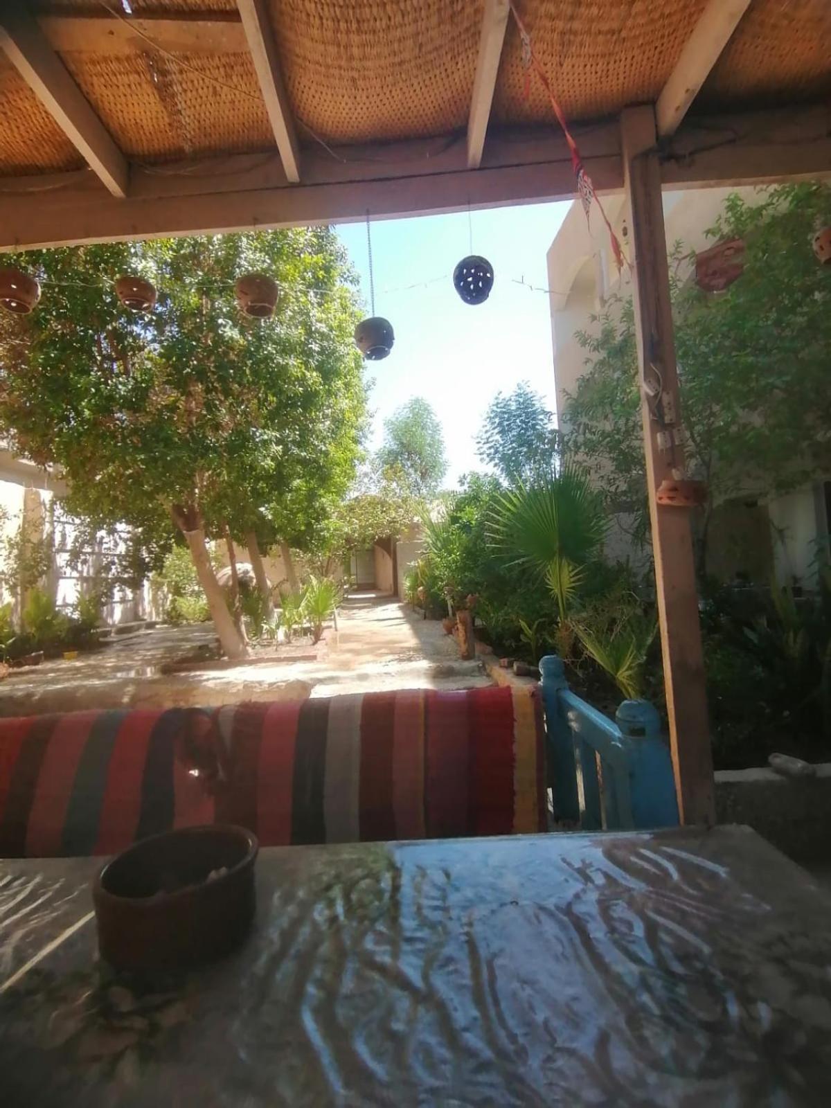 Rose Guest House Luxor Exterior photo