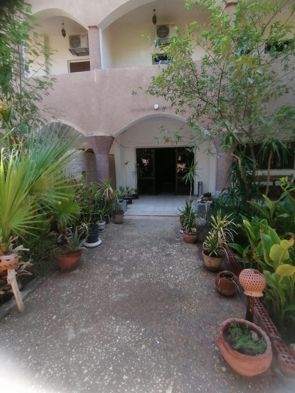 Rose Guest House Luxor Exterior photo