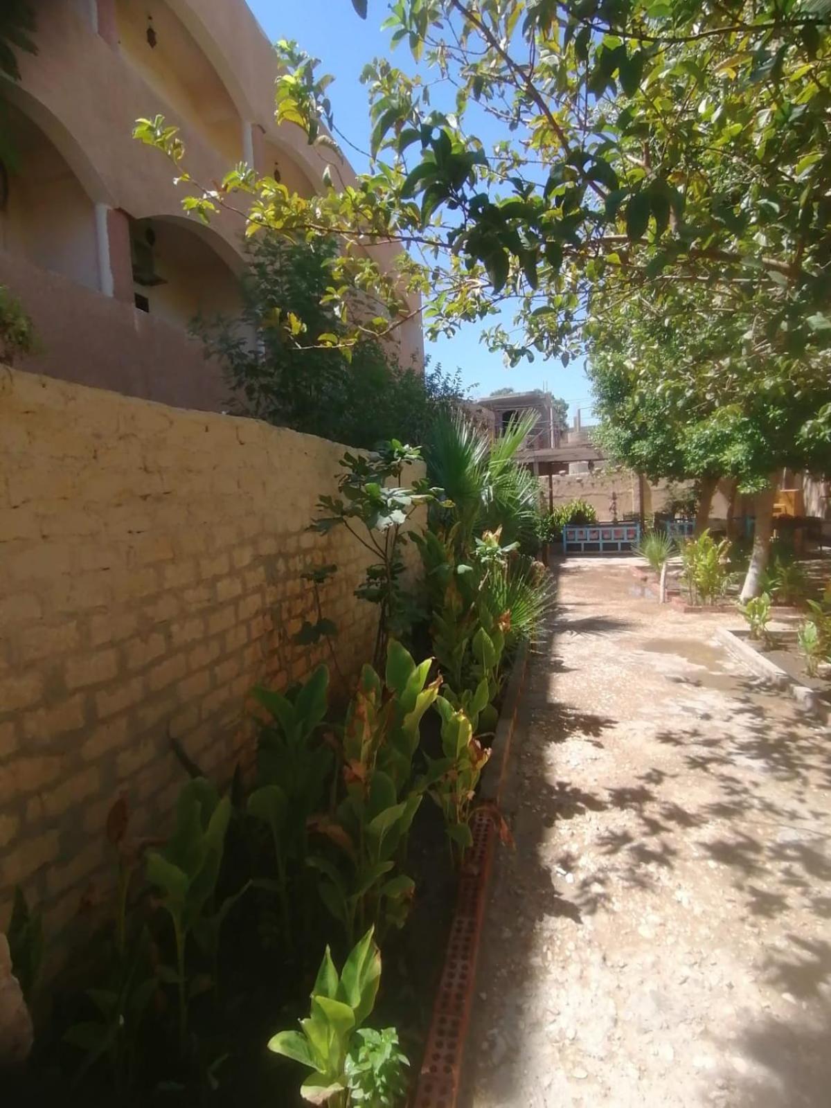 Rose Guest House Luxor Exterior photo