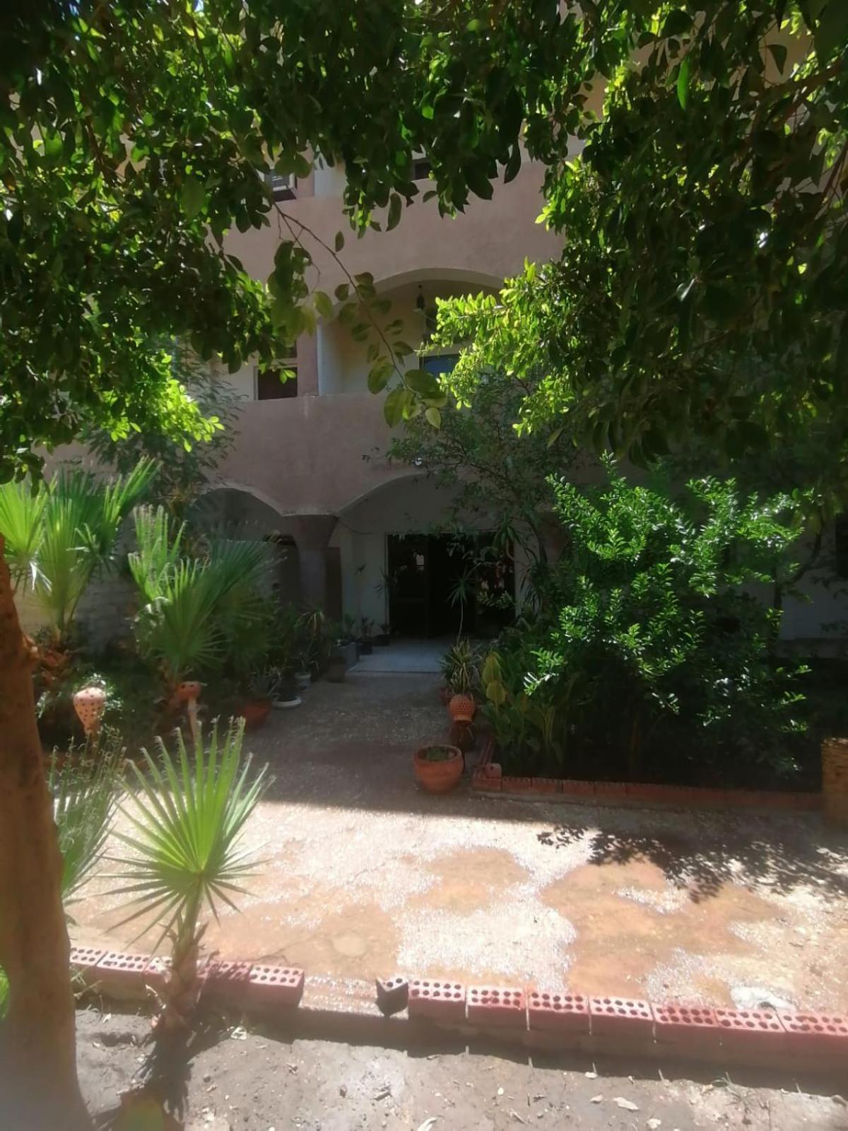 Rose Guest House Luxor Exterior photo